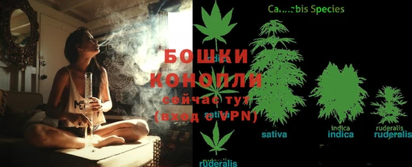 ПСИЛОЦИБИНОВЫЕ ГРИБЫ Елизово