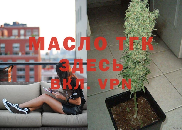 трава Ельня