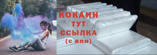 трава Ельня