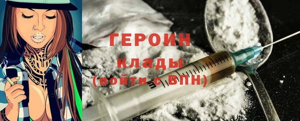 трава Ельня