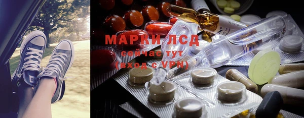 трава Ельня