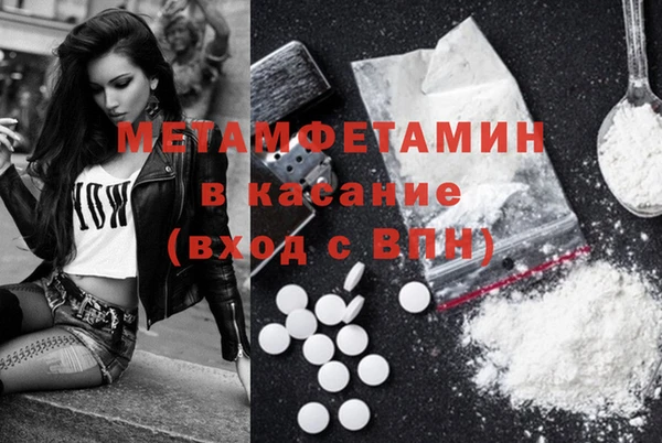 трава Ельня