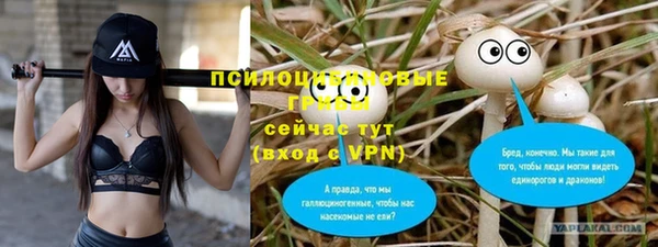 ПСИЛОЦИБИНОВЫЕ ГРИБЫ Елизово