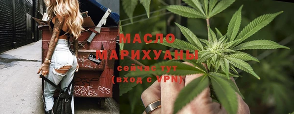 трава Ельня