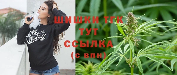 трава Ельня
